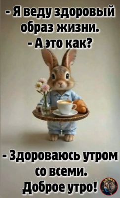 Открытка «С добрым утром»: Доброе утро: Забавный здоровый образ жизни кролика. Тэги: животное, пожелание, позитивная…
