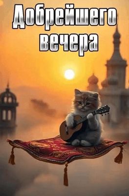 Открытка «С добрым утром»: Волшебное утро с котом-музыкантом. Тэги: кот, животное, гитара, пожелание, позитивная…