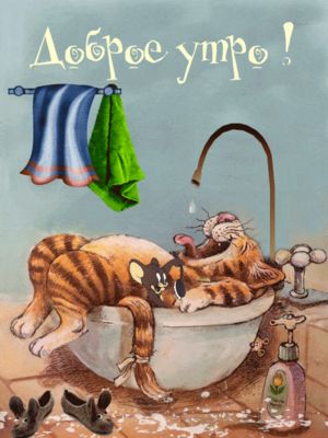 Открытка «С добрым утром»: Доброе утро! Забавные котики в ванной. Тэги: кот, животное, пожелание, позитивная, хорошег…