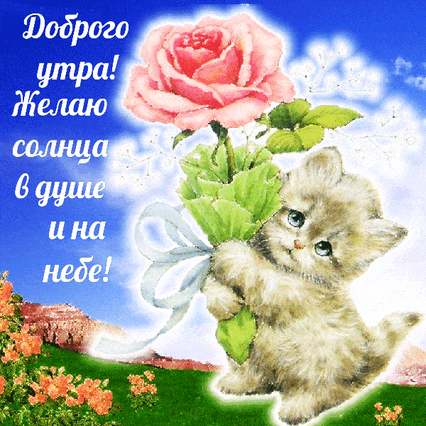 Открытка «С добрым утром»: Нежное доброе утро с котёнком и розой. Тэги: животное, пожелание, позитивная, хорошего дня…