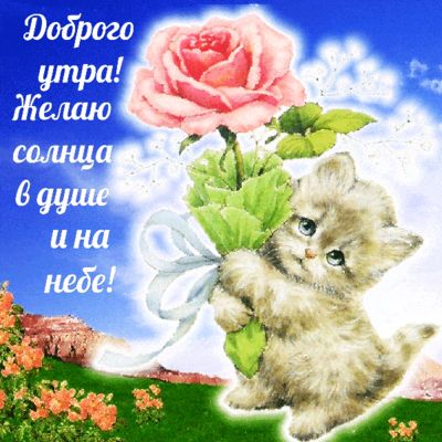 Открытка «С добрым утром»: Нежное доброе утро с котёнком и розой. Тэги: животное, пожелание, позитивная, хорошего дня…