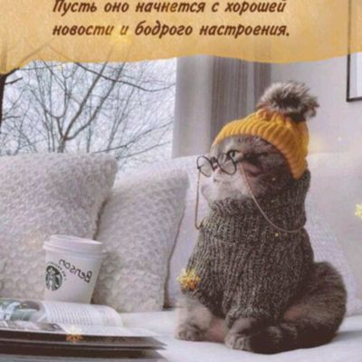Открытка «С добрым утром»: С добрым утром! Уют, кофе и хорошие новости. Тэги: кот, животное, пожелание, позитивная…