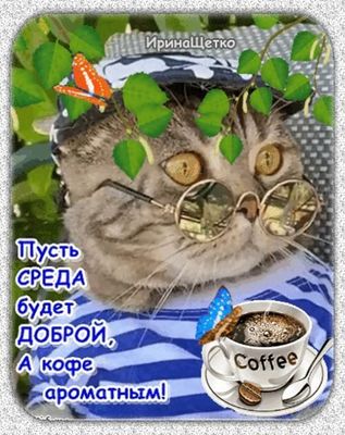 Открытка «С добрым утром»: Позитивная Среда с Котом, Кофе и Бабочками. Тэги: кот, животное, пожелание, позитивная…