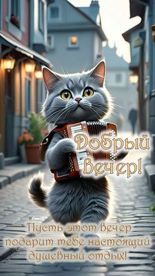 Открытка «С добрым утром»: Вечерний кот-аккордеонист для душевного отдыха. Тэги: кот, животное, инструмент, пожелание…