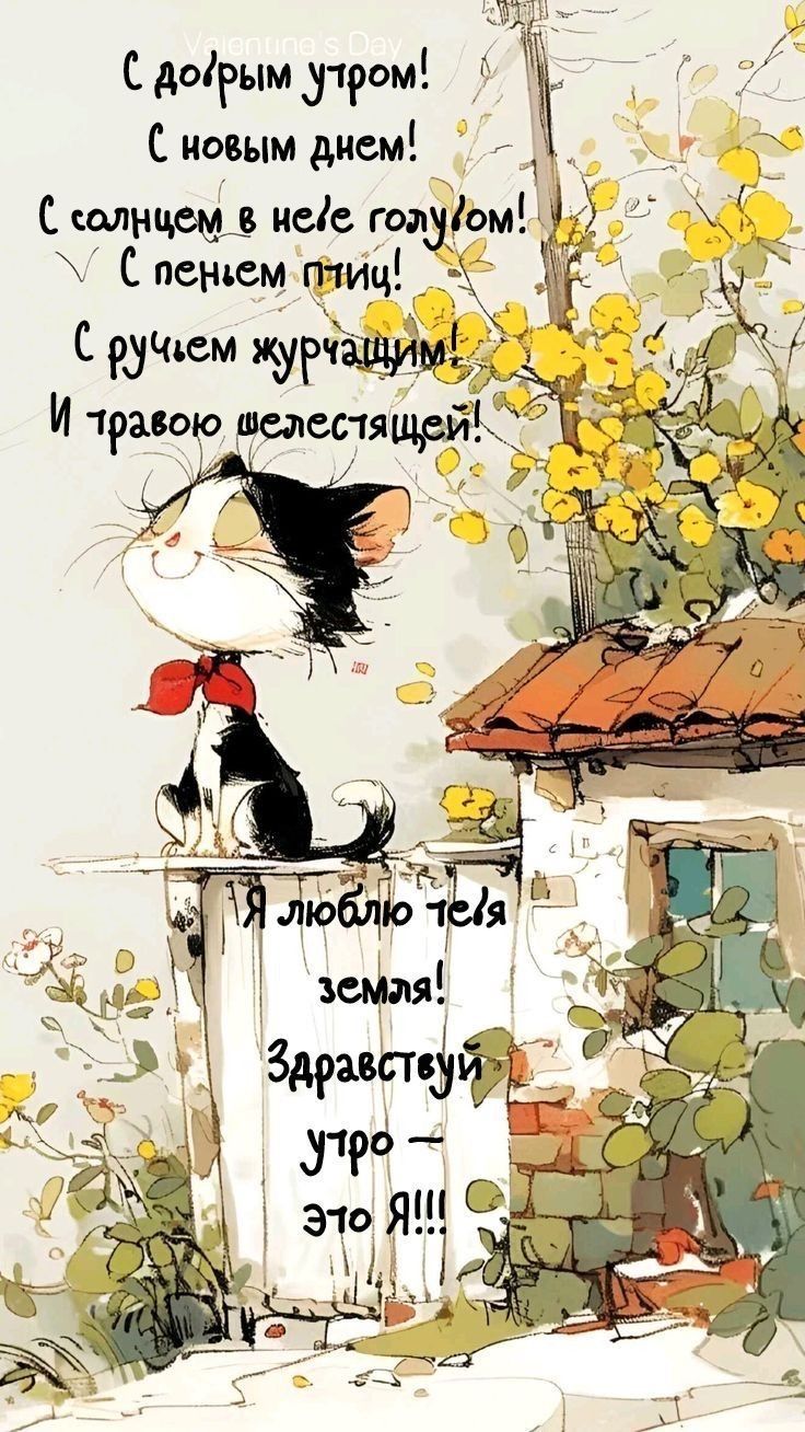 Открытка «С добрым утром»: С добрым утром! Кот, весна и солнечный день. Тэги: кот, животное, пожелание, позитивная…