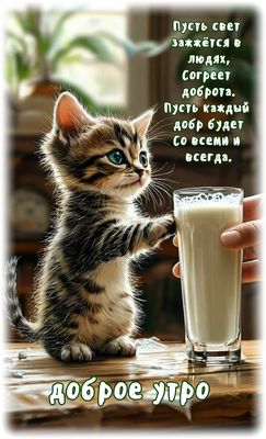 Открытка «С добрым утром»: Доброе утро! Пусть доброта согреет с милым котёнком. Тэги: хорошего дня, кот, животное…