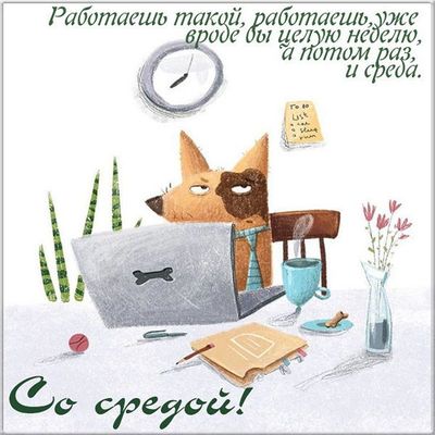 Открытка «С добрым утром»: С добрым утром, когда уже среда: юмор. Тэги: хорошего дня, животное, пожелание, позитивная…