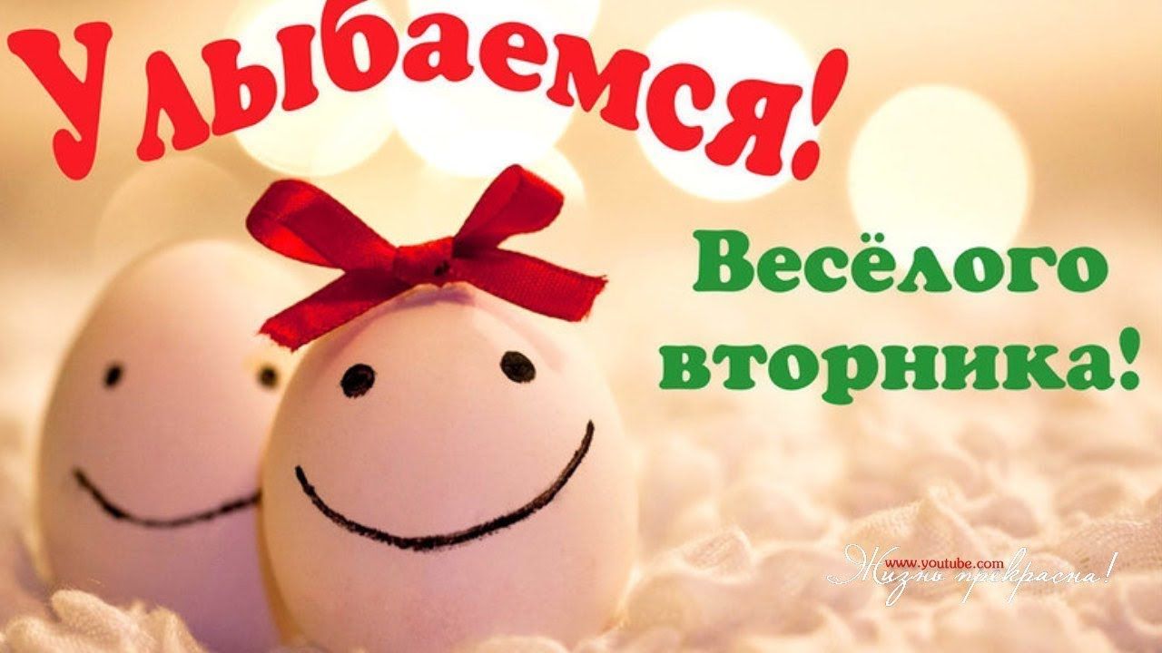 Открытка «С добрым утром»: Улыбаемся! Весёлого вторника!. Тэги: хорошего дня, пожелание, отличное настроение, юмор…