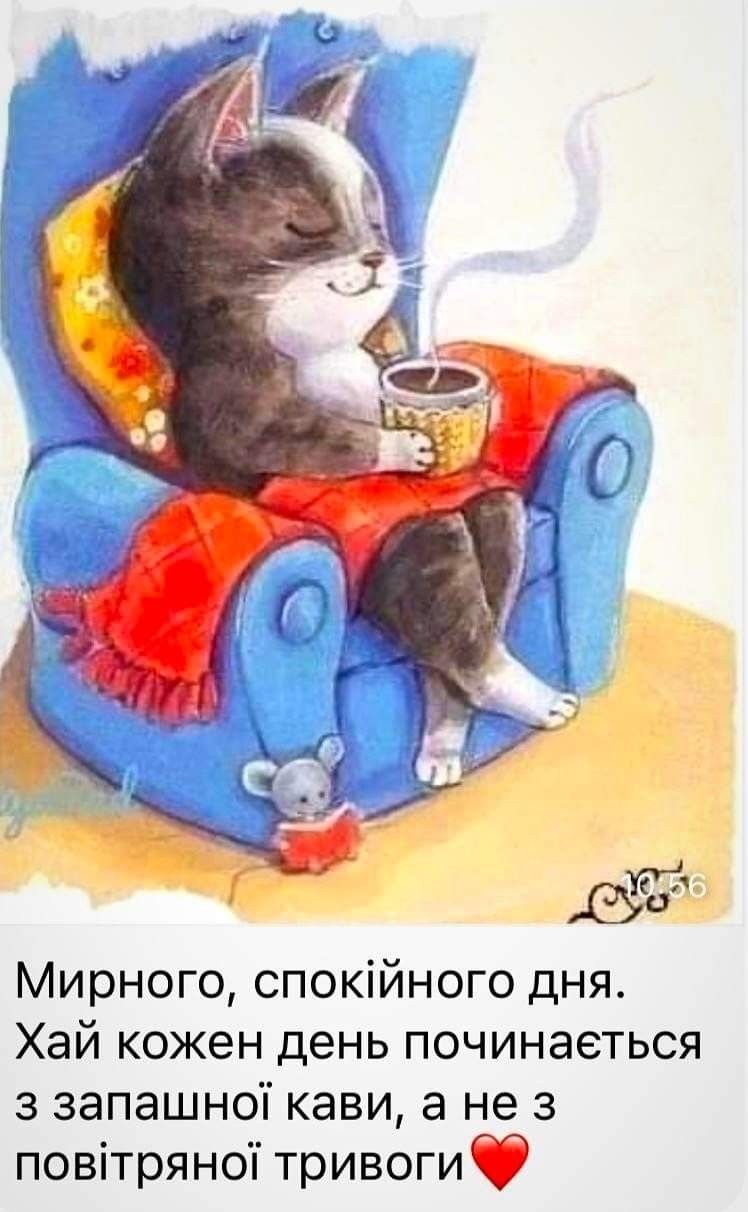 Открытка «С добрым утром»: Уютное доброе утро с кофе и миром. Тэги: кот, пожелание, позитивная, отличное настроение…