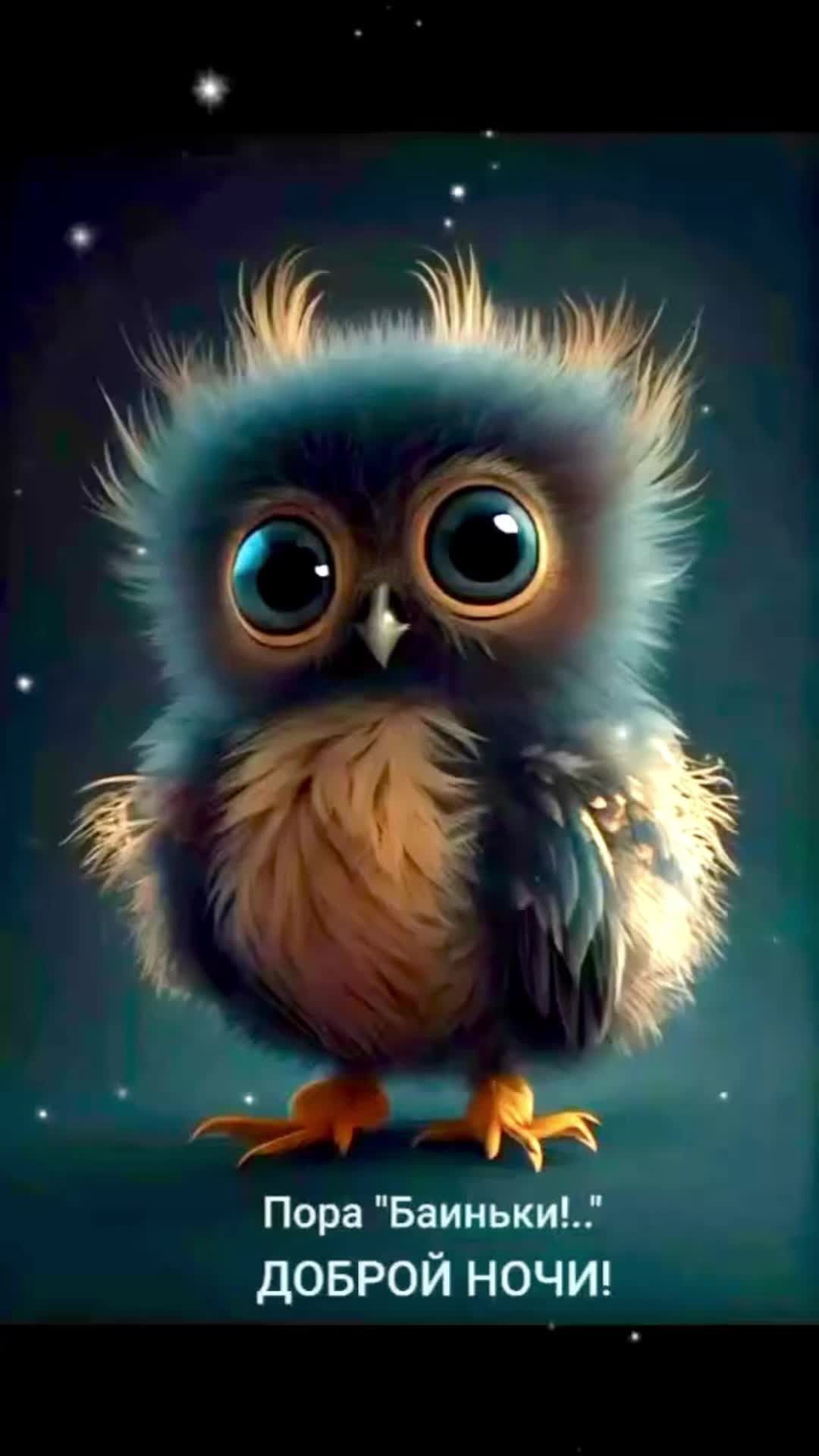 Открытка «С добрым утром»: Милая совушка: Пора баиньки, доброй ночи!. Тэги: животное, пожелание, позитивная, красивая…