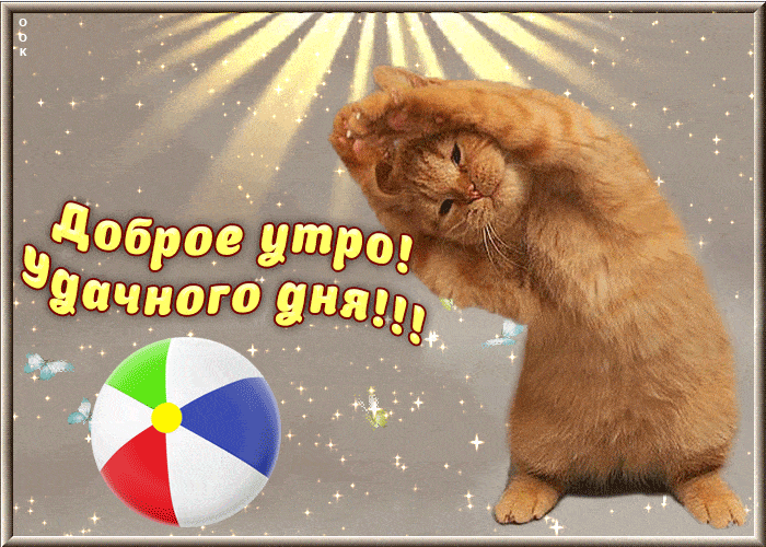 Открытка «С добрым утром»: Рыжий кот желает доброго утра и удачного дня!. Тэги: кот, животное, пожелание, прикольная…