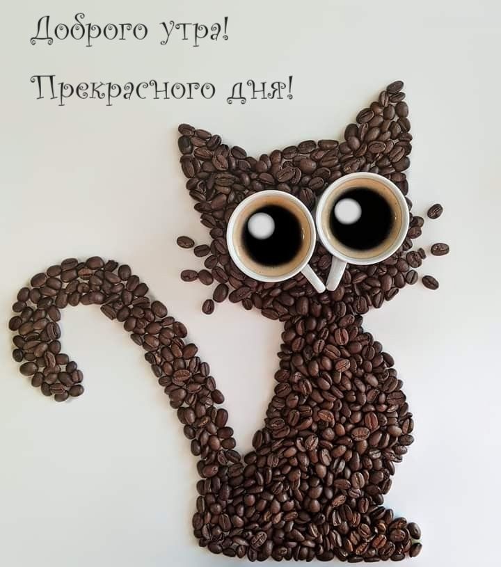Открытка «С добрым утром»: Кофейный кот желает доброго утра и прекрасного дня!. Тэги: С добрым утром, для поднятия на…