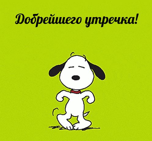 Открытка «С добрым утром»: Добрейшего утречка! Веселый щенок. Тэги: животное, пожелание, юмор, прикольная, смешная…