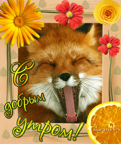 Открытка «С добрым утром»: С добрым утром: милый лисенок и яркие цветы!. Тэги: С добрым утром, для поднятия настроени…