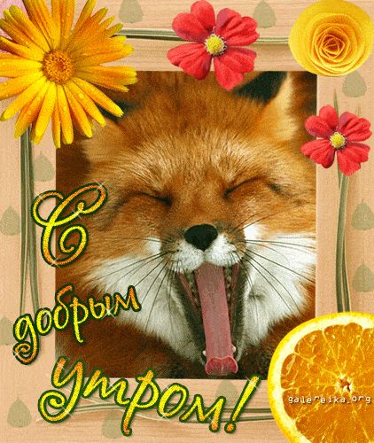 Открытка «С добрым утром»: С добрым утром: милый лисенок и яркие цветы!. Тэги: С добрым утром, для поднятия настроени…