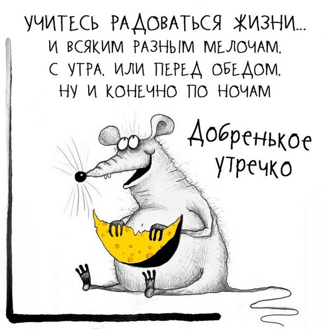 Открытка «С добрым утром»: Добренькое утречко: Мышка радуется жизни и сыру!. Тэги: хорошего дня, животное, пожелание…