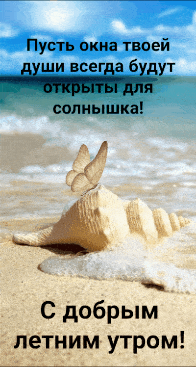 Открытка «С добрым утром»: С добрым летним утром! Пусть душа будет открыта солнцу. Тэги: хорошего дня, пожелание…