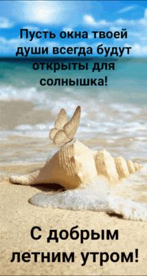 Открытка «С добрым утром»: С добрым летним утром! Пусть душа будет открыта солнцу. Тэги: хорошего дня, пожелание…