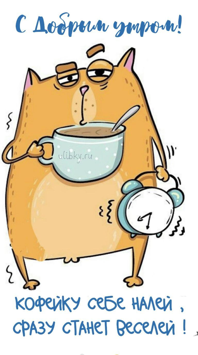 Открытка «С добрым утром»: Кофе для бодрости: утро с веселым котом!. Тэги: хорошего дня, кот, животное, пожелание…