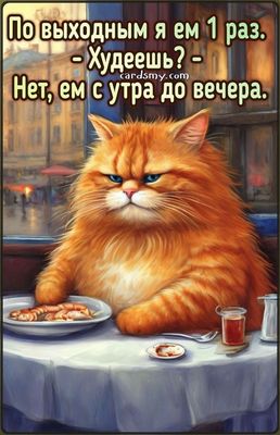 Открытка «С добрым утром»: С добрым утром! Выходные: ем с утра до вечера. Тэги: кот, животное, пожелание, юмор, утро…