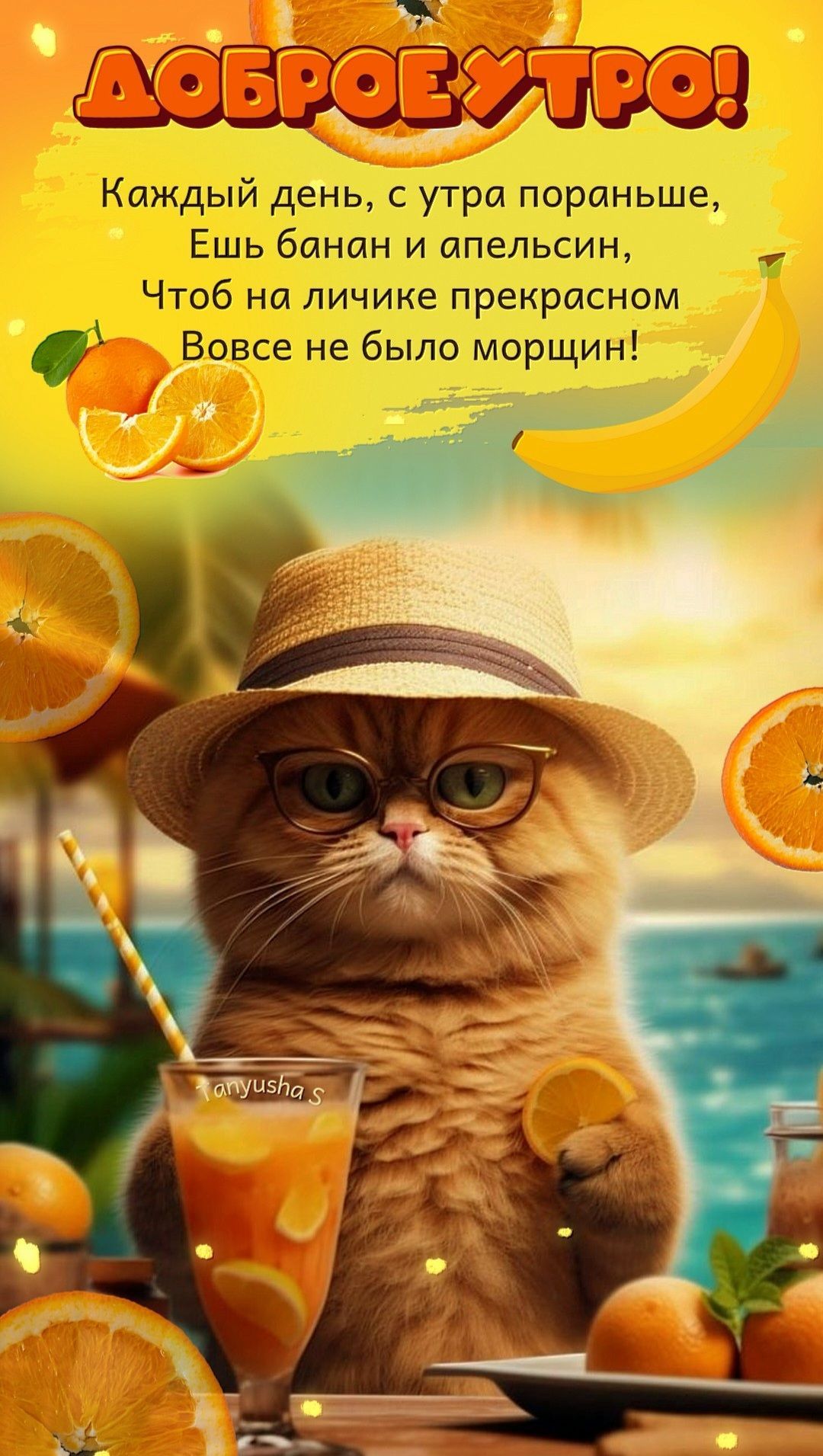 Открытка «С добрым утром»: Доброе утро: милый кот, солнце и свежесть!. Тэги: хорошего дня, кот, животное, пожелание…