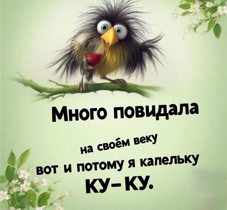 Открытка «С добрым утром»: С добрым утром! Немного Ку-Ку для отличного дня.. Тэги: хорошего дня, животное, пожелание…