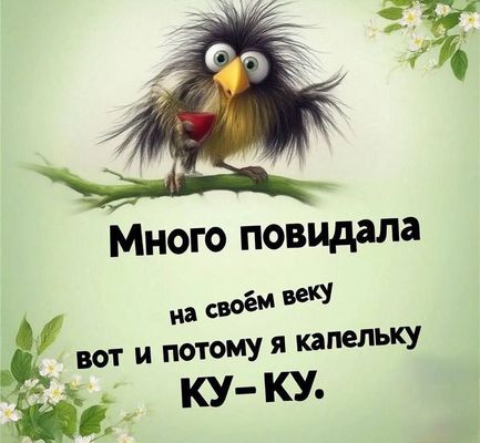 Открытка «С добрым утром»: С добрым утром! Немного Ку-Ку для отличного дня.. Тэги: хорошего дня, животное, пожелание…