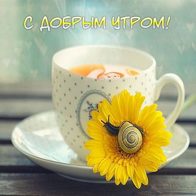 Открытка «С добрым утром»: Нежное доброе утро: чашка чая и цветок с улиткой. Тэги: С добрым утром, для поднятия настр…