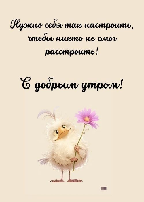 Открытка «С добрым утром»: С добрым утром! Позитивный настрой с милой птичкой. Тэги: животное, пожелание, позитивная…