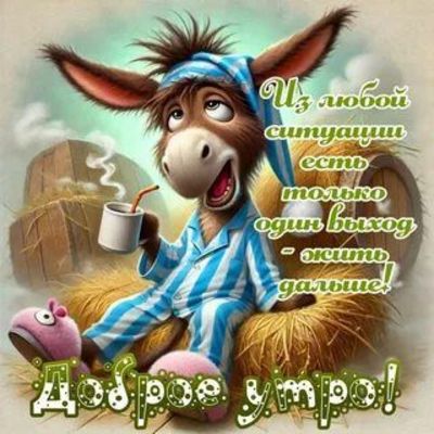 Открытка «С добрым утром»: С добрым утром! Живи дальше с улыбкой!. Тэги: хорошего дня, животное, пожелание, позитивная…