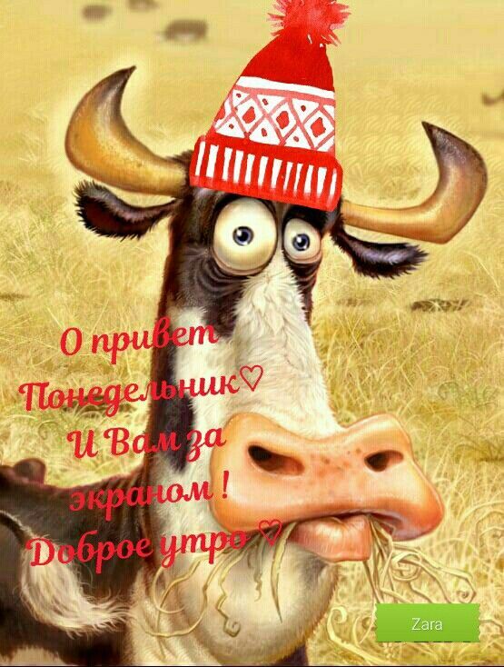 Открытка «С добрым утром»: О, привет, Понедельник! С добрым утром!. Тэги: Для поднятия настроения, Начало недели…