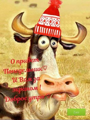 Открытка «С добрым утром»: О, привет, Понедельник! С добрым утром!. Тэги: Для поднятия настроения, С добрым утром в п…