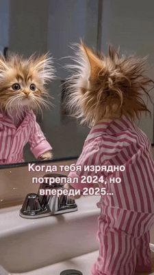 Открытка «С добрым утром»: С добрым утром: Идем в 2025 с пушистым позитивом!. Тэги: хорошего дня, кот, животное…