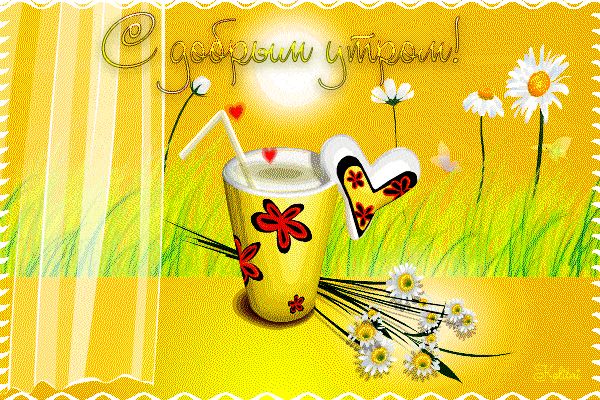 Открытка «С добрым утром»: Солнечное доброе утро: нежность и ромашки. Тэги: пожелание, друг, подруга, мужчина, женщина…