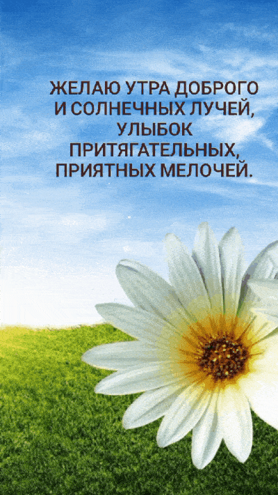 Открытка «С добрым утром»: Доброе утро: солнце, улыбки, цветок. Тэги: хорошего дня, пожелание, позитивная, отличное н…