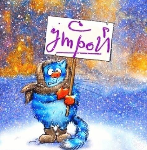 Открытка «С добрым утром»: С добрым утром от пушистого кота в зимний день!. Тэги: кот, животное, пожелание, юмор…