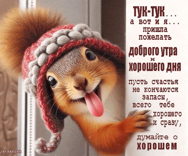 Открытка «С добрым утром»: Тук-тук! Белка желает доброго утра и хорошего дня!. Тэги: животное, пожелание, юмор, улыбка…