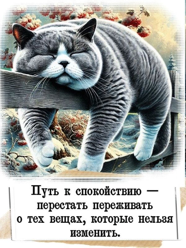 Открытка «С добрым утром»: С добрым утром: спокойствие с пушистым котом. Тэги: кот, животное, пожелание, позитивная…