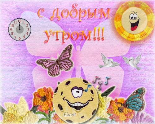 Открытка «С добрым утром»: С добрым утром: Солнечный привет!. Тэги: С добрым утром, для поднятия настроением!, С добр…