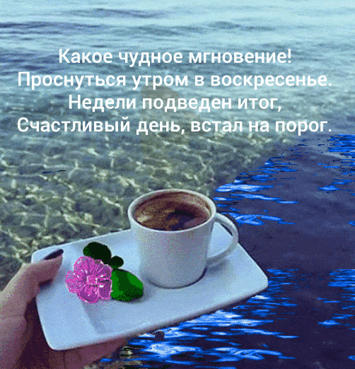 Открытка «С добрым утром»: Чудесное утро воскресенья с кофе и цветком. Тэги: пожелание, позитивная, утро, друг…