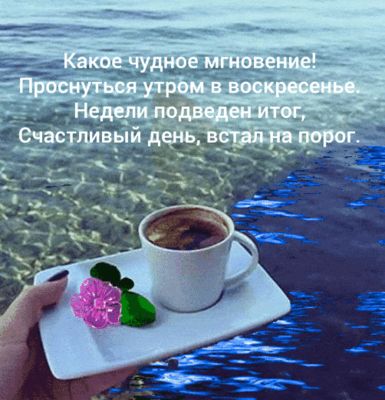 Открытка «С добрым утром»: Чудесное утро воскресенья с кофе и цветком. Тэги: пожелание, позитивная, утро, друг…