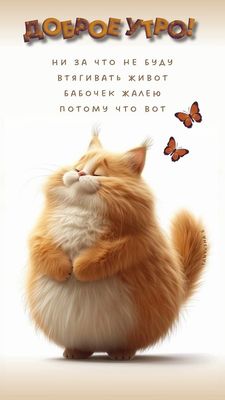 Открытка «С добрым утром»: Доброе утро: кот, бабочки и смешное пожелание. Тэги: кот, животное, пожелание, позитивная…