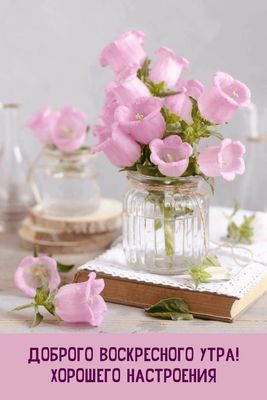 Открытка «С добрым утром»: Нежное воскресное утро и хорошее настроение. Тэги: пожелание, позитивная, утро, красивая…
