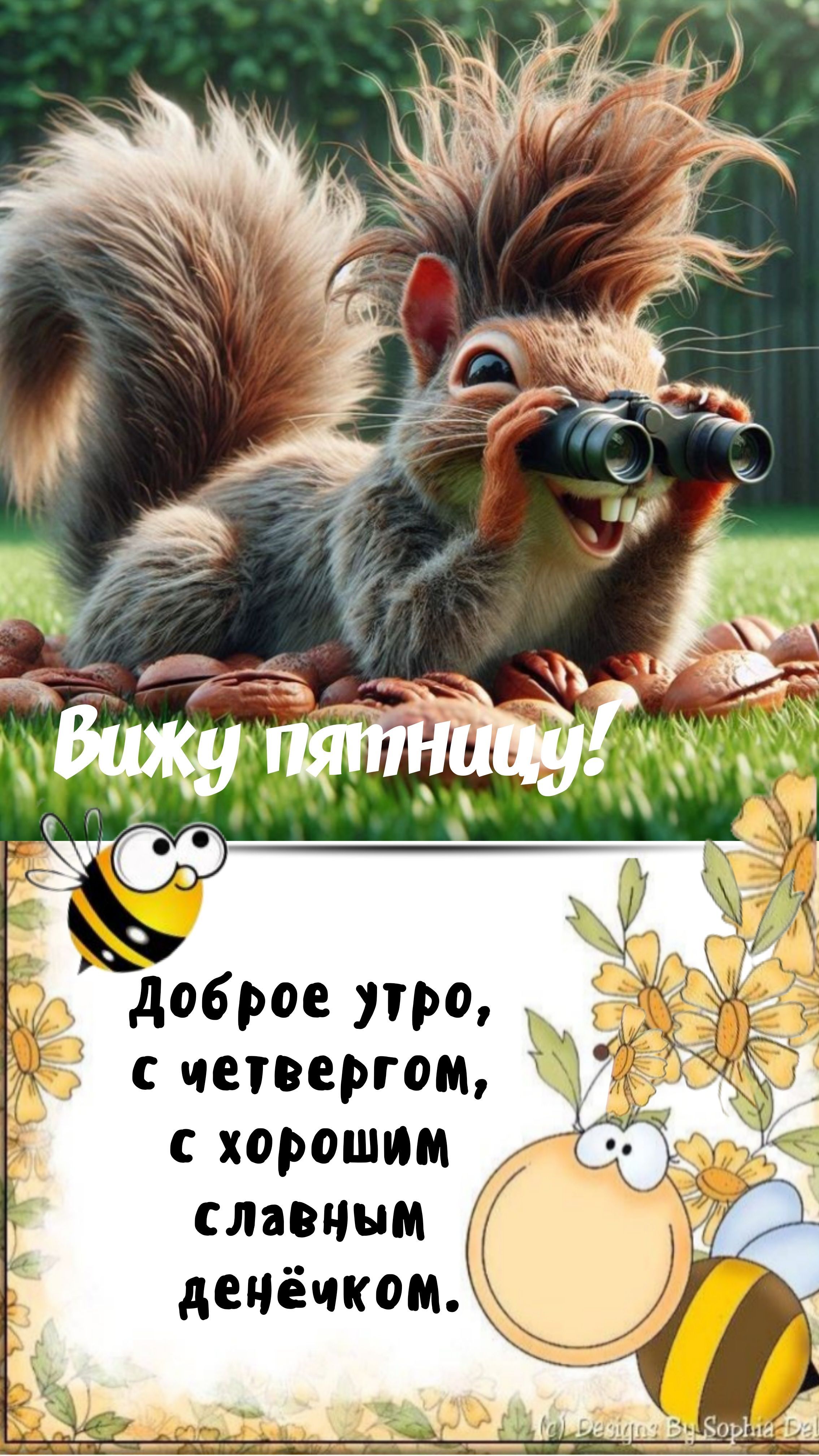 Открытка «С добрым утром»: С добрым утром четверга! Белка видит пятницу. Тэги: животное, пожелание, юмор, прикольная…