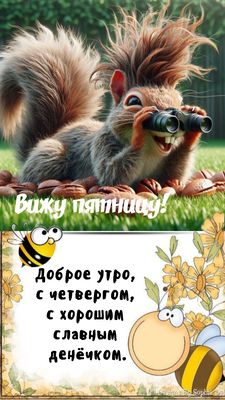 Открытка «С добрым утром»: С добрым утром четверга! Белка видит пятницу. Тэги: животное, пожелание, юмор, прикольная…