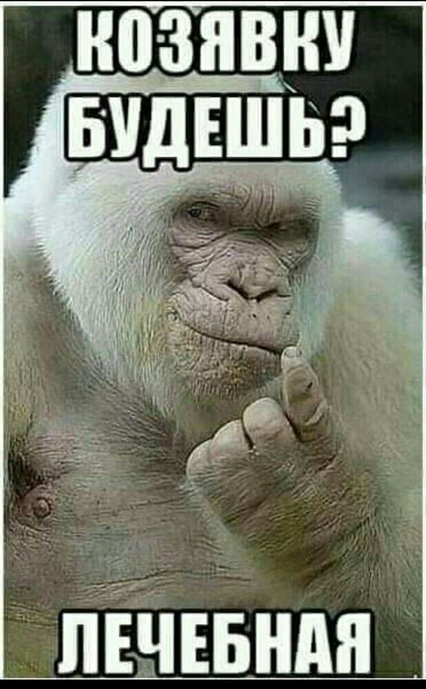 Открытка «Добрый день»: Доброе утро: Лечебная козявка для настроения. Тэги: Для поднятия настроения, позитивный…