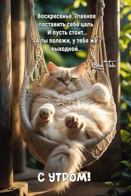 Открытка «С добрым утром»: Доброе воскресное утро: расслабься, выходной!. Тэги: хорошего дня, кот, животное, пожелание…