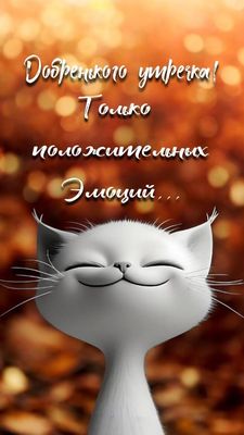 Открытка «С добрым утром»: С добрым утром! Только позитивные эмоции и улыбка котика. Тэги: кот, животное, пожелание…