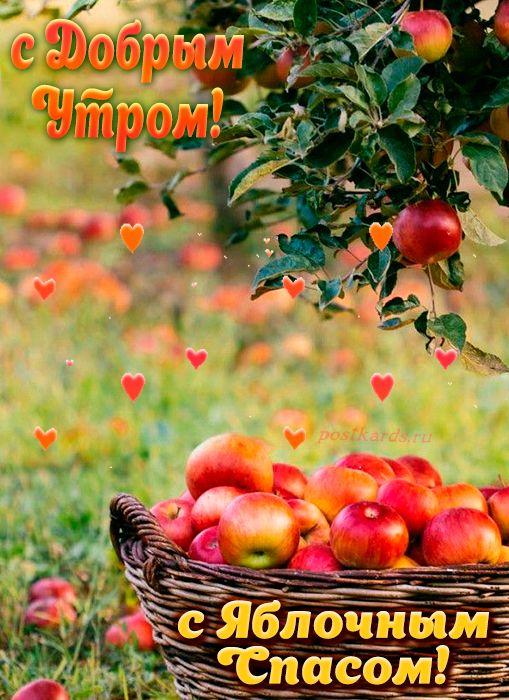 Открытка «С добрым утром»: С добрым утром и Яблочным Спасом!. Тэги: Яблочный спас, С добрым осенним утром, С добрым…