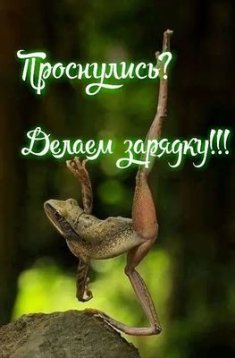 Открытка «С добрым утром»: Доброе утро! Пора на утреннюю зарядку!. Тэги: животное, пожелание, позитивная, отличное на…